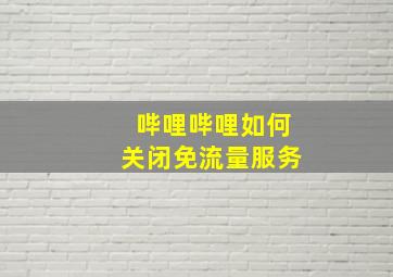 哔哩哔哩如何关闭免流量服务