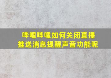 哔哩哔哩如何关闭直播推送消息提醒声音功能呢