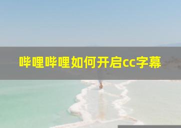 哔哩哔哩如何开启cc字幕