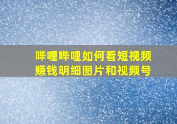 哔哩哔哩如何看短视频赚钱明细图片和视频号