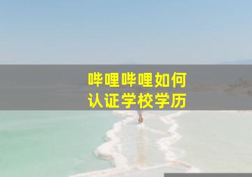 哔哩哔哩如何认证学校学历