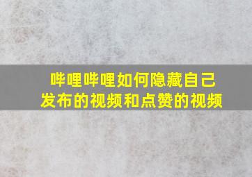 哔哩哔哩如何隐藏自己发布的视频和点赞的视频