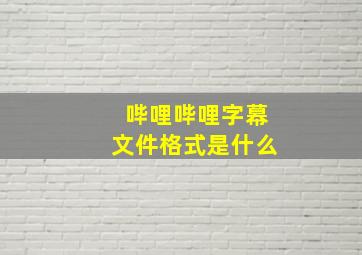 哔哩哔哩字幕文件格式是什么