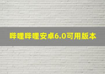 哔哩哔哩安卓6.0可用版本