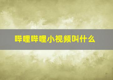 哔哩哔哩小视频叫什么