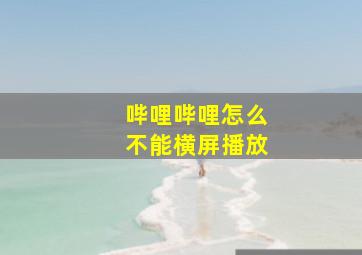 哔哩哔哩怎么不能横屏播放