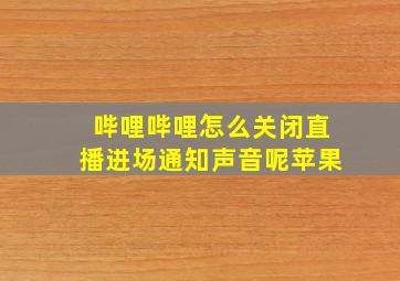 哔哩哔哩怎么关闭直播进场通知声音呢苹果