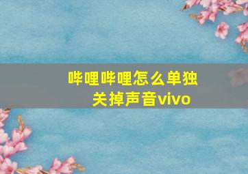 哔哩哔哩怎么单独关掉声音vivo