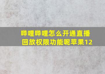 哔哩哔哩怎么开通直播回放权限功能呢苹果12