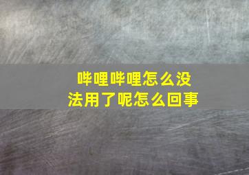 哔哩哔哩怎么没法用了呢怎么回事