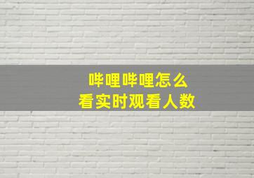 哔哩哔哩怎么看实时观看人数