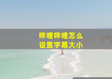 哔哩哔哩怎么设置字幕大小