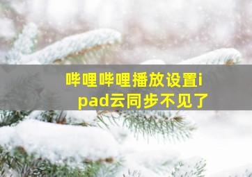 哔哩哔哩播放设置ipad云同步不见了