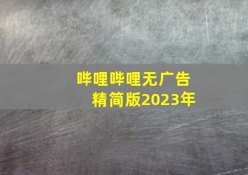 哔哩哔哩无广告精简版2023年