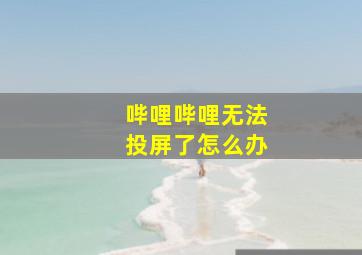 哔哩哔哩无法投屏了怎么办