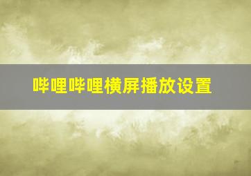 哔哩哔哩横屏播放设置