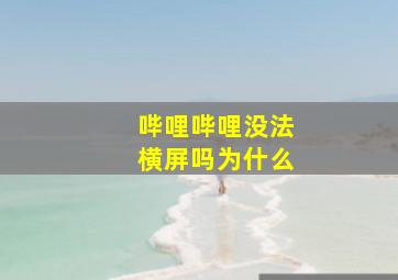 哔哩哔哩没法横屏吗为什么