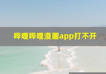 哔哩哔哩漫画app打不开