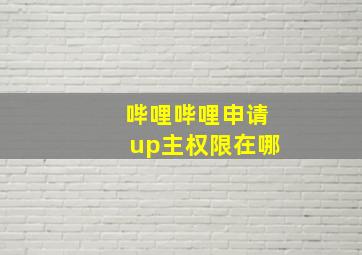 哔哩哔哩申请up主权限在哪