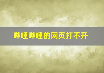 哔哩哔哩的网页打不开