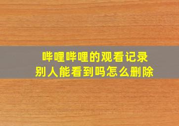 哔哩哔哩的观看记录别人能看到吗怎么删除