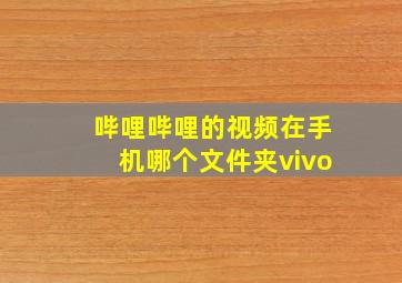 哔哩哔哩的视频在手机哪个文件夹vivo