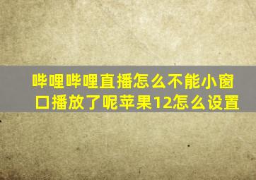 哔哩哔哩直播怎么不能小窗口播放了呢苹果12怎么设置