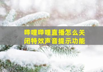 哔哩哔哩直播怎么关闭特效声音提示功能