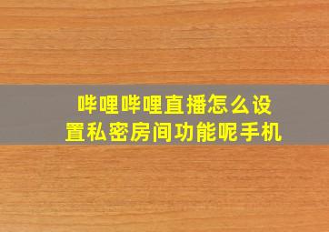 哔哩哔哩直播怎么设置私密房间功能呢手机