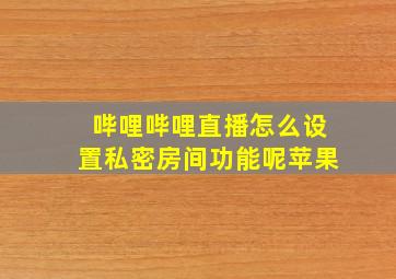 哔哩哔哩直播怎么设置私密房间功能呢苹果