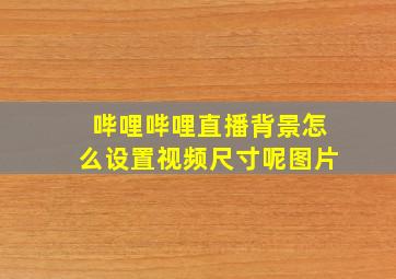 哔哩哔哩直播背景怎么设置视频尺寸呢图片