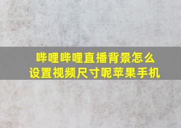 哔哩哔哩直播背景怎么设置视频尺寸呢苹果手机