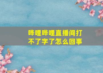 哔哩哔哩直播间打不了字了怎么回事