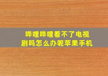 哔哩哔哩看不了电视剧吗怎么办呢苹果手机