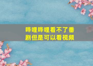 哔哩哔哩看不了番剧但是可以看视频