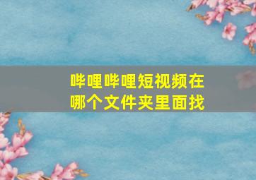 哔哩哔哩短视频在哪个文件夹里面找