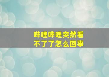 哔哩哔哩突然看不了了怎么回事