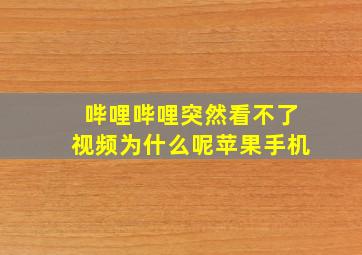 哔哩哔哩突然看不了视频为什么呢苹果手机