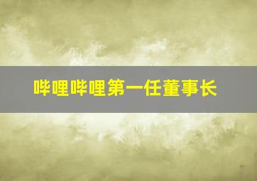 哔哩哔哩第一任董事长