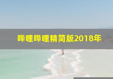 哔哩哔哩精简版2018年