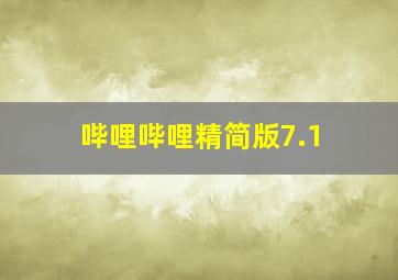 哔哩哔哩精简版7.1