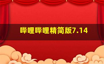 哔哩哔哩精简版7.14