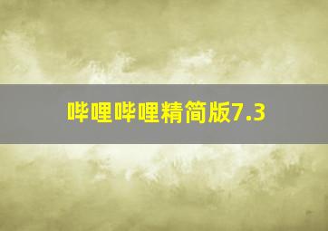 哔哩哔哩精简版7.3