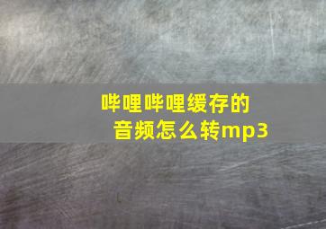 哔哩哔哩缓存的音频怎么转mp3