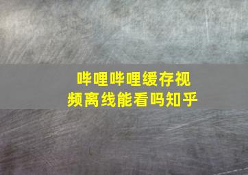 哔哩哔哩缓存视频离线能看吗知乎