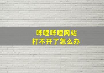 哔哩哔哩网站打不开了怎么办