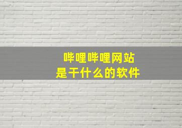 哔哩哔哩网站是干什么的软件