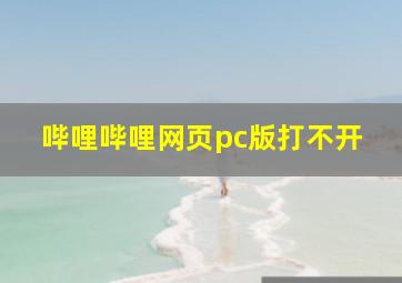 哔哩哔哩网页pc版打不开