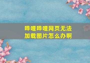 哔哩哔哩网页无法加载图片怎么办啊