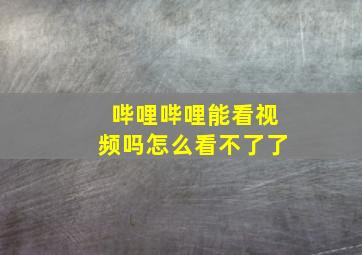 哔哩哔哩能看视频吗怎么看不了了